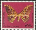 Cameroun Moth (Imbrasia arata)