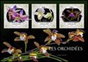 Orchids