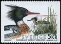 Red-breasted Merganser (Mergus serrator)