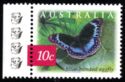 Blue-banded Eggfly (Hypolimnas alimena) - 4th Reprint