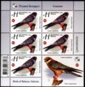 Red-Footed Falcon (Falco vespertinus)