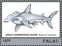 Great Hammerhead Shark