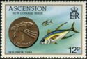 One Penny,Yellowfin Tuna (Thunnus albaceres)