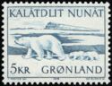 Polar Bear (Ursus maritimus)