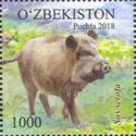 Wld Boar (Sus scrofa)