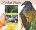 Nicobar Pigeon (Caloenas nicobarica)
