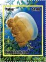 Golden Jellyfish (Mastigias papua etpisoni)