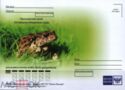 Far Eastern toad (Bufo gargarizans)