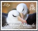 Black-Browed Albatross (Thalassarche melanophris)