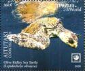 Olive Ridley Sea Turtle (Lepidochelys olivacea)
