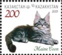 Maine Coon