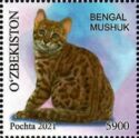 Bengal