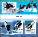 Orcas