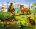 Barbary Macaque, Red Fox, White-toothed Shrew, Rabbit (ss)