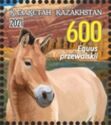 Przewalski Horse (Equus przewalskii)