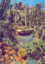 Monaco : the Exotic Garden