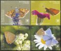 Butterflies of the World
