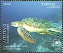 Loggerhead Sea Turtle (Caretta caretta)