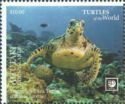 Loggerhead Sea Turtle (Caretta caretta)