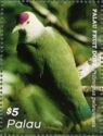 Palau Fruit-Dove (Ptilinopus pelewensis)