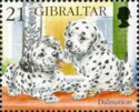 Dalmatian (Canis lupus familiaris)