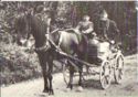 Mail transport in Kalmar district 1895