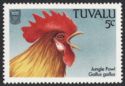 Red Junglefowl (Gallus gallus)