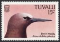 Brown Noddy (Anous stolidus pileatus)