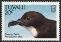 Phoenix Petrel (Pterodroma alba)