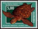 Green Sea Turtle (Chelonia mydas)