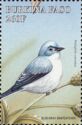 Blue-grey Gnatcatcher (Polioptila caerulea)