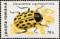Willow Leaf Beetle (Chrysomela vigintipunctata)