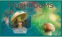 Mushrooms