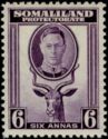 George VI, Lesser Kudu (Tragelaphus imberbis)