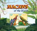 Macaws of the World