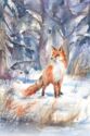 Fox in forest