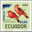 Scarlet Tanager (Piranga erythromelas)