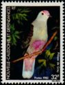 Red-bellied Fruit-dove (Ptilinopus greyi)