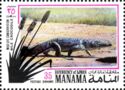 Nile Crocodile (Crocodylus niloticus)