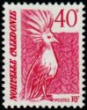 Kagu (Rhynochetos jubatus)