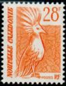 Kagu (Rhynochetos jubatus)