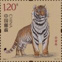 Year of the Tiger 2022