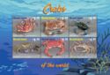 Crabs of the World