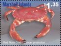 Red Rock Crab (Cancer productus)