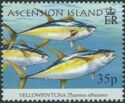 Yellowfin tunas