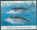 Skipjack tunas