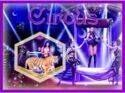 Circus