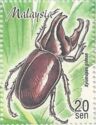 Rhinoceros Beetle (Dynastes gideon)