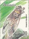 Emperor Cicada (Pomponia imperatoria)