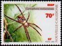 Tent Spider (Cyrtophora moluccensis)